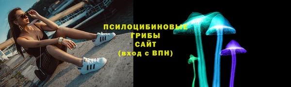 прущий лед Алзамай