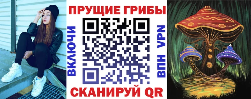 Псилоцибиновые грибы Psilocybe  сколько стоит  Микунь 